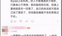 娱乐圈吃瓜游戏视频,视频带你领略明星幕后故事