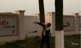 勉县最新爆料的事,揭秘神秘事件背后的真相