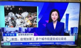 石湾热点爆料新闻视频播放,最新爆料新闻视频播放精彩回顾