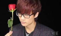 许嵩被粉丝爆料视频下载,揭秘偶像幕后生活