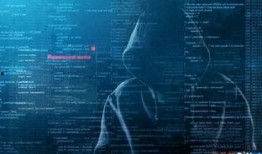 四川黑客最新爆料新闻,揭秘网络犯罪内幕