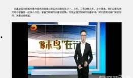 句容电视台爆料视频播放,视频内容大揭秘