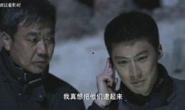九命刑警在线观看,生死较量，正义之光