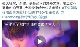 圈内人爆料王俊俊视频,圈内人揭秘不为人知的真相
