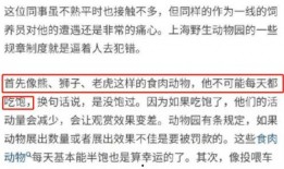 内部员工爆料南宁事件视频,南宁事件内部员工独家视频揭秘
