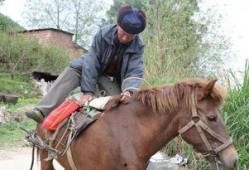 网红骑马爆料视频播放下载,播放下载量惊人！