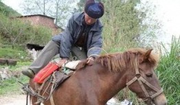 网红骑马爆料视频播放下载,播放下载量惊人！