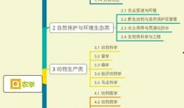 爆料阿飞聚餐视频大全集,一场星光熠熠的美食盛宴