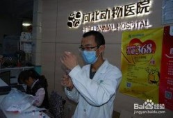 石家庄医院爆料事件最新,事件真相与医疗伦理争议再掀波澜