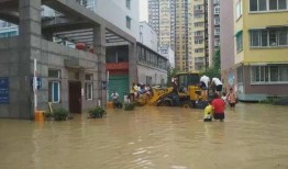 勉县最新爆料的事,揭秘神秘事件背后的真相
