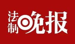 中国新闻网爆料台,聚焦社会热点，揭示真相背后的故事