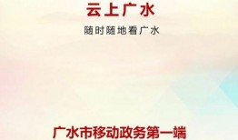 广水新闻 爆料,揭秘背后惊人真相！