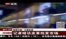郑州爆料神器事件视频曝光,揭秘背后真相