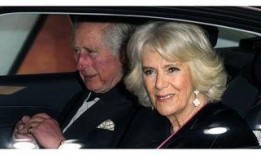 米卡最新爆料新闻,揭秘娱乐圈最新热点事件