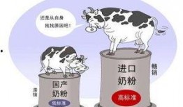 奶粉最新爆料,揭秘行业潜规则与消费者权益保护
