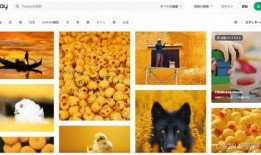 抖音爆料视频素材哪里找,揭秘热门短视频背后的秘密