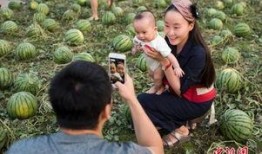 北京免费吃瓜群众,免费吃瓜群众的欢乐盛宴