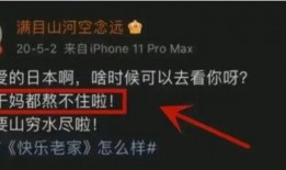 内鬼爆料是怎么来的视频,一场视频引发的行业风暴