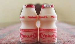 乳酸菌饮料爆料视频大全,爆款视频大全深度解析