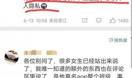 大连新地铁爆料视频,震撼视频揭秘未来交通新面貌