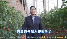 小人国陈鹏爆料视频大全,小人国爆料视频大全深度解析