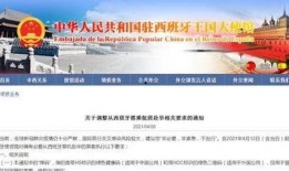 西班牙航班爆料视频下载,视频内容深度解析