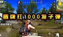 盾牌 在线观看,在线观看，揭秘正义与邪恶的较量