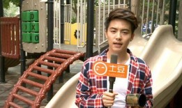 娱乐圈爆料专用音乐,爆料专用音乐背后的故事