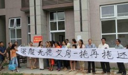 赤松小学爆料新闻,校园生活再掀波澜