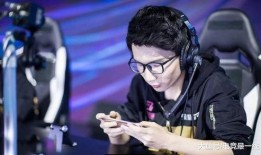 寒夜爆料仙阁完整视频,仙阁战队完整视频深度剖析