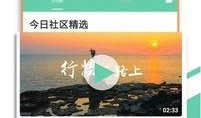 小椰子爆料视频网站大全,揭秘热门视频网站大全