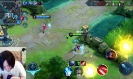 王者张大仙爆料视频全集,揭秘游戏幕后真相与精彩瞬间