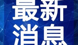 台湾爆料狗仔视频大全最新,独家爆料，揭秘娱乐圈幕后真相