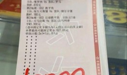 今日竞彩推荐爆料最新版,最新版攻略助你精准投注