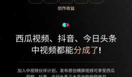 视频爆料抖音号,揭秘幕后真相