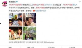 好友婚礼爆料视频大全,甜蜜回忆，幸福见证