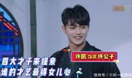 关于许凯的爆料视频播放,揭秘娱乐圈背后的真相