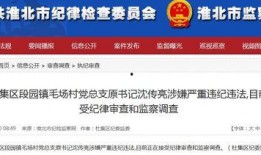大皖新闻爆料电话是多少,揭秘新闻背后的故事