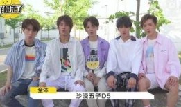 沙漠五子爆料视频,揭秘幕后故事与精彩瞬间