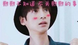 罗云熙搞笑爆料视频合集,笑料百出，揭秘明星幕后趣事