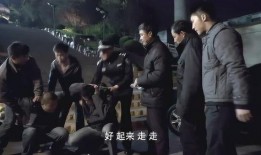 九命刑警在线观看,生死较量，正义之光