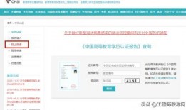 今日视线爆料公众号下载,独家下载背后的故事与真相
