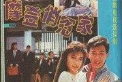 摩登俏冤家在线观看,浪漫邂逅，现代爱情传奇