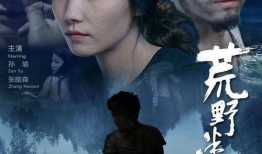 情迷电影在线观看,一场视觉与情感的盛宴