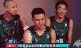 曹芳爆料杨政视频,揭秘背后惊人内幕