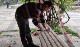 新瓜最新爆料长椅视频