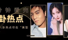 娱乐圈爆料文件301,揭秘明星背后的惊人真相