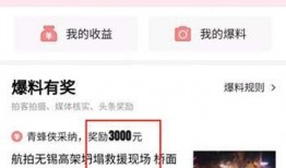 今日头条爆料有多少钱了,财富增长惊人，具体数额令人咋舌！