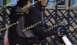 刘大锤爆料杨紫男朋友视频,刘大锤独家爆料引热议