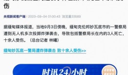 最近媒体爆料案例最新,真相与反思